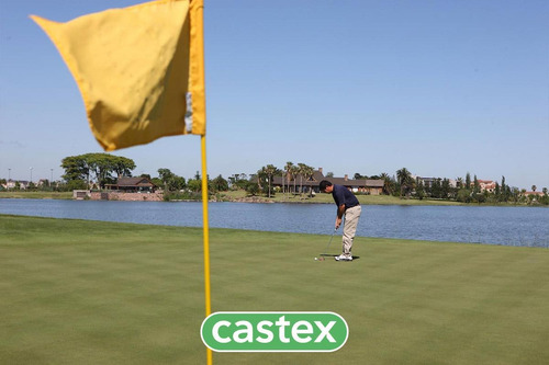 Imagen 14 de 22 de Lote En Venta En El Golf, Nordelta