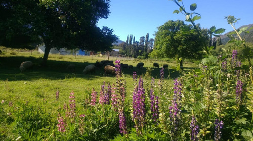 Terreno Venta Villa Del Lago. Chubut