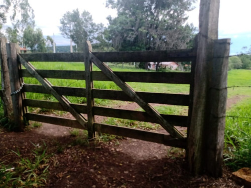 Imagem 6 de 30 de 14 Alqueires Região Angatuba Sp Com Casa Simples Bão Água Luz, Ótima Localização, 10 Km Angatuba Por Estrada Cascalhada Oportunidade... - St00037 - 68969916