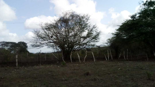 Imagen 28 de 30 de Finca En Mirimire Estado Falcon De 941 Hectáreas
