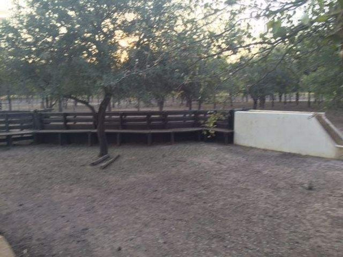 Imagen 12 de 18 de Venta Campo En Santiago Del Estero, Norte De Monte Quemado