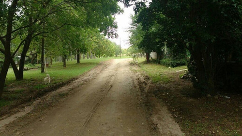 Hermosa Casa En San Antonio Rodeada De Naturaleza!