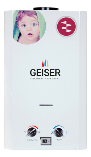 Calentador Boiler Geiser De Paso, Instantaneo, De Agua 10l