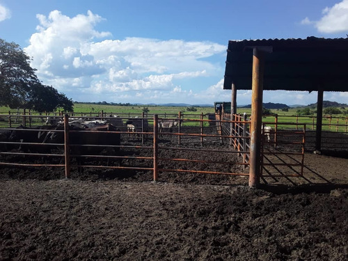 Imagen 9 de 14 de Finca En Venta - El Manteco, Estado Bolivar Fl