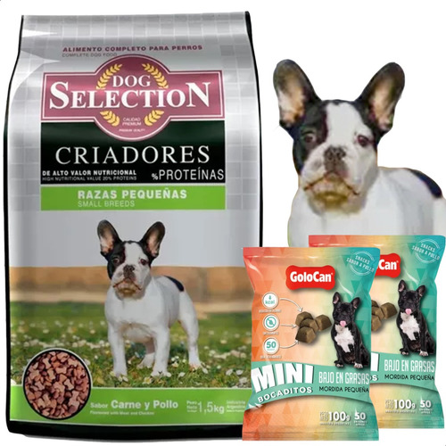  Alimento Perro Dog Selection + Bocadito Bajo En Grasas Mini