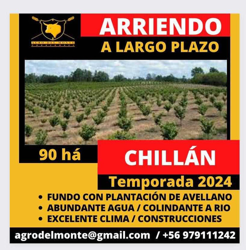 Venta De Oportunidad 90 Ha - Chillán