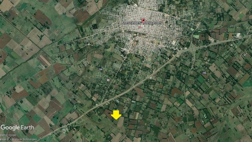 Imagen 5 de 5 de Venta- Loteo De 1 Hectarea