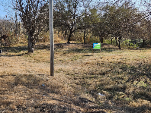 Terreno En Puigari