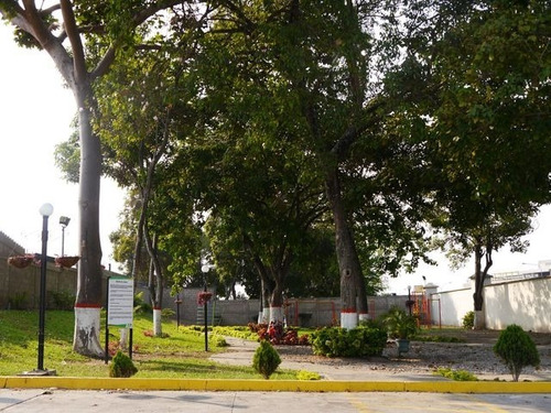 Imagen 19 de 30 de Se Venden Casas En Villa Roca Cabudare Y Barquisimeto Lara Excelentes Precios 0424-5935697 Reinaldo Azcunes #23-4730 Rja