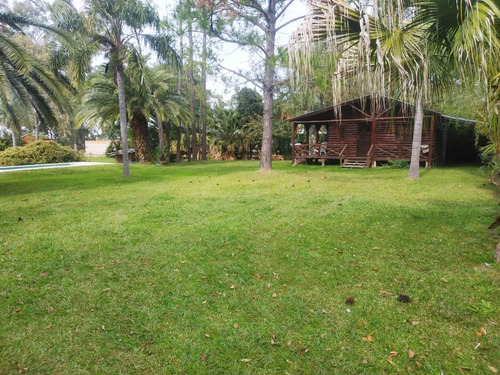 Imagen 15 de 24 de Se Vende 1ha. Con 3 Casas Sobre Ruta 11 Km 450