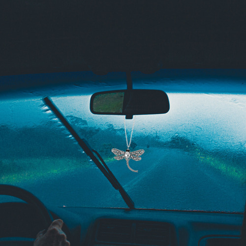 Accesorios Para Colgar En El Coche Bling Dragonfly: Crystal