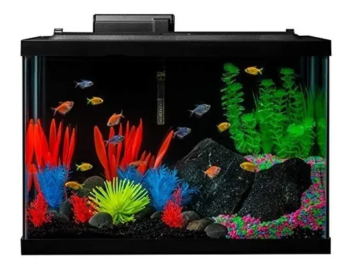 Glofish aquarium kit hotsell