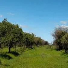 Parcelas A 10 Minutos De Marchigue, Financiamiento