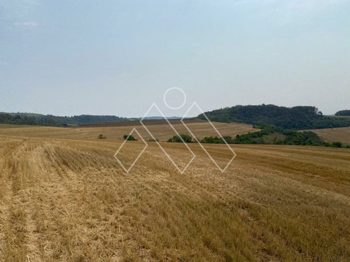 Imagem 6 de 8 de Fazenda Para Plantio Próximo A Londrina (71,05 Alqueires) - Mi1373