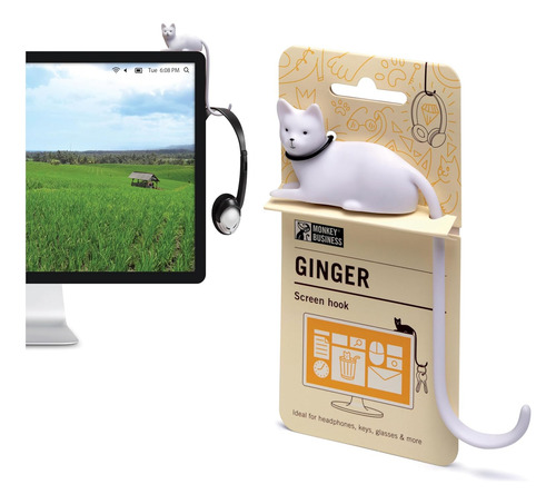 Ginger El Gato, Un Monete En La Pantalla De La Computadora,
