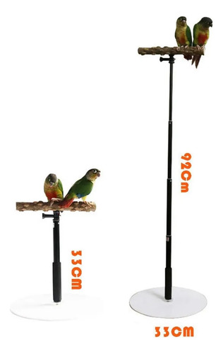 Ejercicio De Entrenamiento De Loros Para Percas, Mesa De Jue