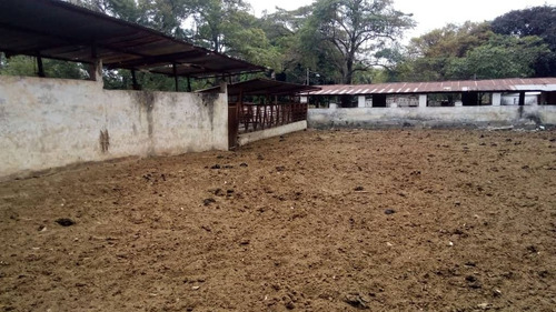 Imagen 7 de 15 de Finca En El Paguey, Barinas En Venta