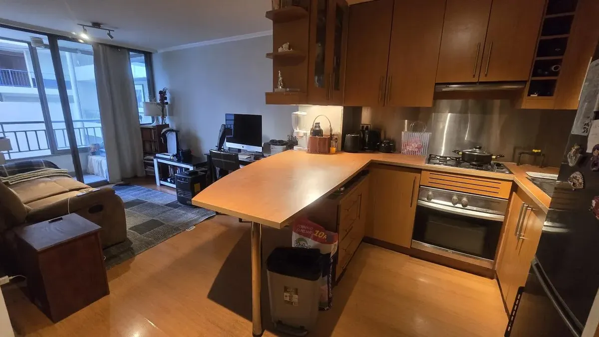 Imagen 3 de 16 de Arriendo Departamento 2hab 2ba Providencia
