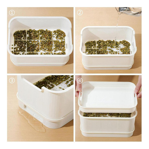Bandeja De Brotos De Sementes, Mini Kits De Branco