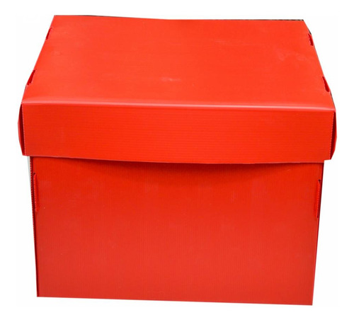 Caja Archivadora Multiuso Carton- 42 X 32 X 25 Cm