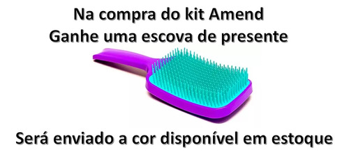 Kit Amend Shampoo Condicionador E Mascara Liso Descomplicado