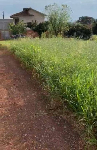 Imagem 2 de 3 de Terreno À Venda, 3161 M² Por R$ 500.000,00 - Centro - Santa Terezinha De Itaipu/pr - Te1616