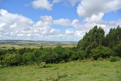 Campo En Venta