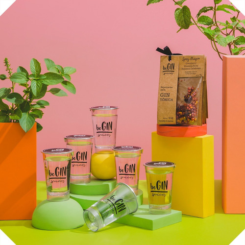 Kit De Especiarias Para Gin Tônica (6 Drinks) + 6 Shots Gin