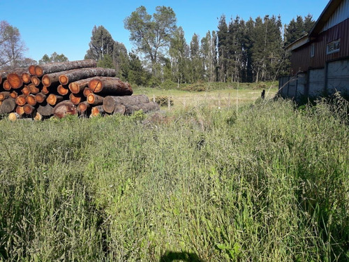 Sitio En Venta En Curacautín