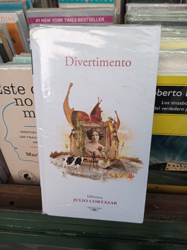 Libro Divertimento