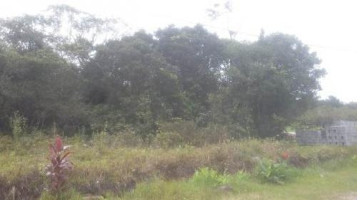Imagem 4 de 4 de Terreno Balneário Tupy Itanhaém 100 Mts Da Rodovia.