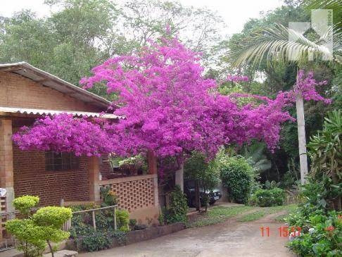 Chácara Residencial À Venda, Pau Arcado, Campo Limpo Paulista - Ch0046. - Ch0046