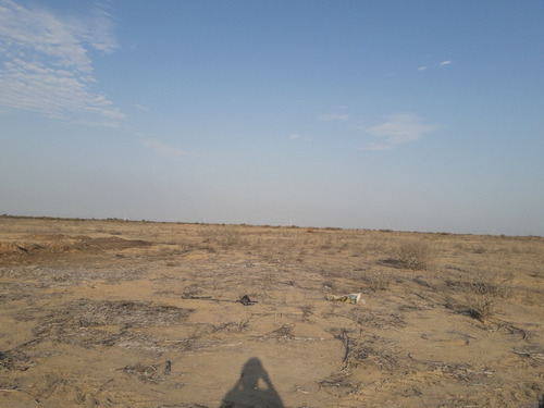 Imagen 6 de 14 de Terreno Para Uso Agricola