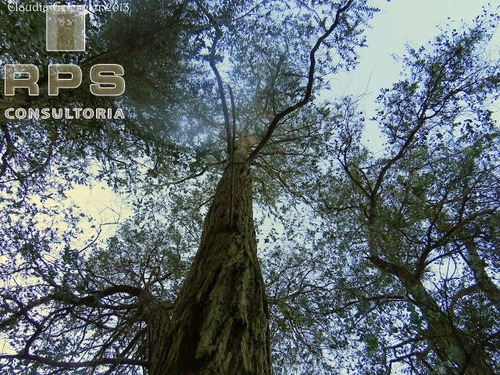 Imagem 17 de 30 de Sítio No Coração Da Serra Da Mantiqueira, Onde O Clima É Sempre Agradável. Deslumbrante! - St00027 - 34894896