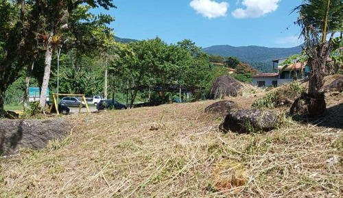 Imagem 9 de 10 de Terreno Em Ilhabela/sp Ref:797 - 797