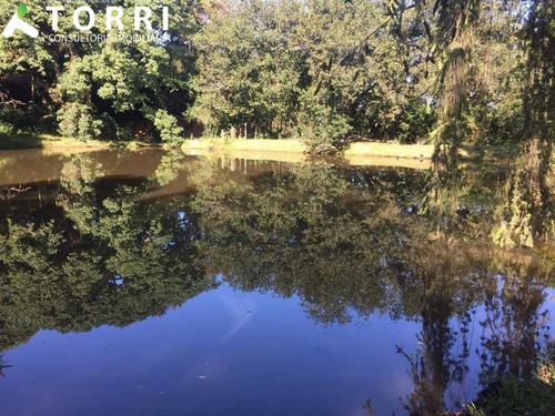 Imagem 21 de 28 de Fazenda Em Amparo Sp - Fa00073 - 68300179
