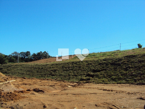 Imagem 1 de 12 de Terreno Em Condominio - Vila Nova - Ref: 43561 - V-58465733