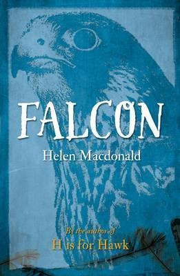 Falcon - Helen Macdonald