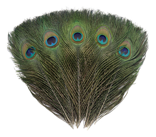 12 Plumas Naturales Reales De Pavo Real De 10-12 Pulgadas Pa