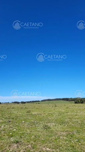 Venta Chacra Jose Ignacio Con Costa Arroyo Anastasio