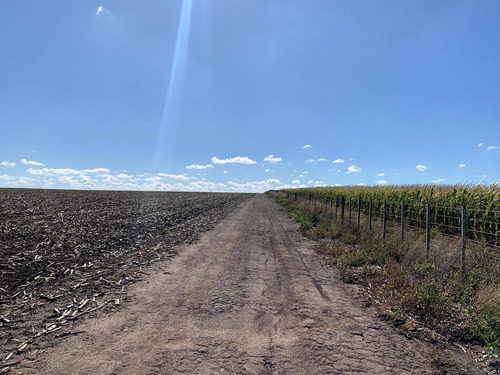 Imagen 5 de 6 de Campo En Venta De 2000000m2 Ubicado En Lobería