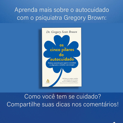Kit 2 Livros, Mentes Inquietas, Tdah + Os Cinco Pilares Do Autocuidado, Gregory Scott Brown, Ana Beatriz Barbosa Silva