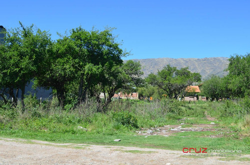 Imagen 4 de 14 de Lote De 1000m2 En Barrio Solares, Pegado A Las Moreras