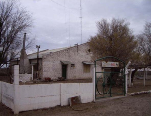 Imagen 13 de 14 de Campo - La Pampa Caleu Caleu