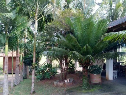 Imagem 2 de 30 de Sitio Em Camboriú - Aceita Permuta Em Balneário Camboriu 15mil M² - T102 - 3285723