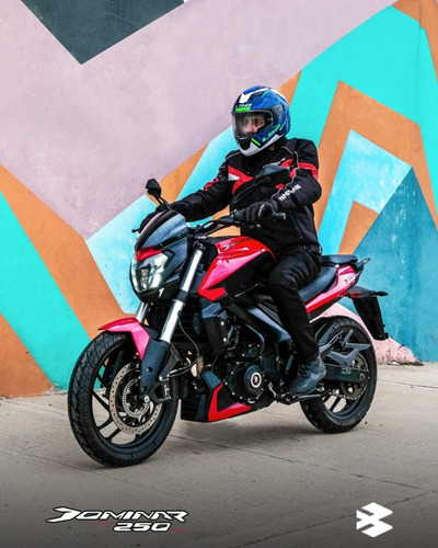 Imagen 21 de 23 de Bajaj Dominar D250 Naked Pronto Motos