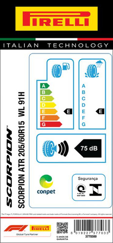 Pneu Pirelli 205/60r15 Scorpion Atr 91h Com Letra Branca