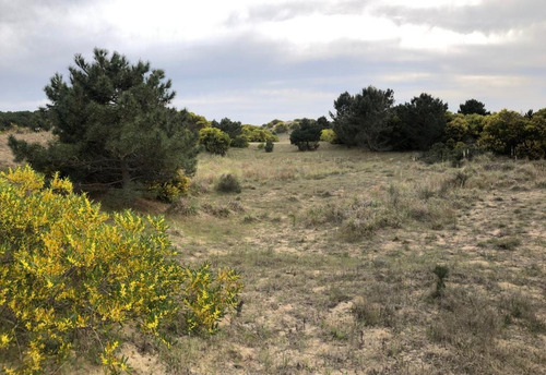 Lote Venta Punta Medanos 1224 Metros