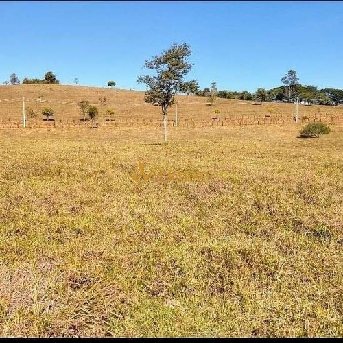 Imagem 6 de 7 de Rural Chacara - 977339-v
