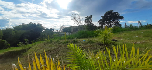 Se Vende Lote En Quimbaya - Quindío